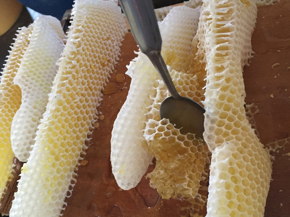 完熟蜜の巣蜜